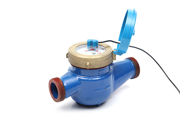 湘西脈(mò)沖遠傳水表